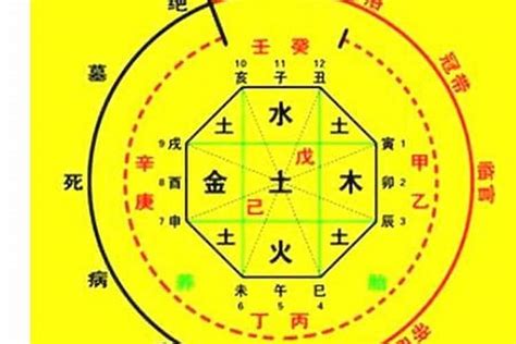 手機號碼八字|生辰八字算命、五行喜用神查詢（免費測算）